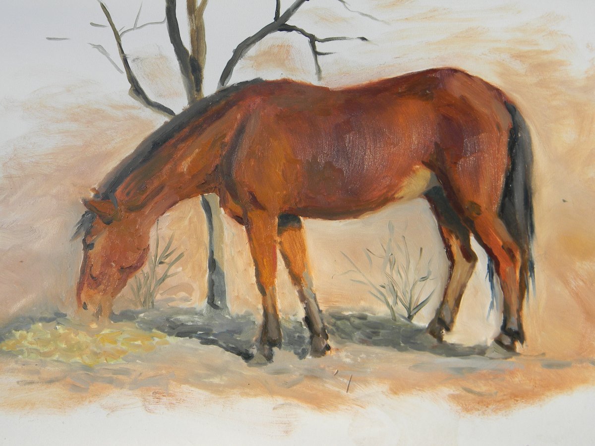 Иллюстрации к произведениям о лошадях