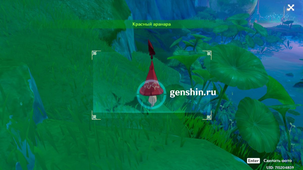 Розария ГЕНШИ Импакт