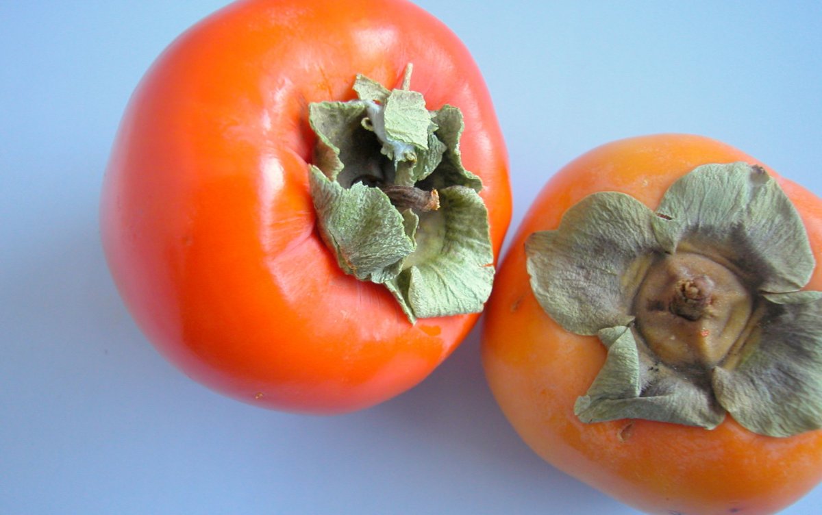 Хурма персимон