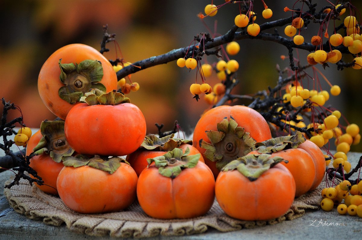 Хурма Янтарная гигант