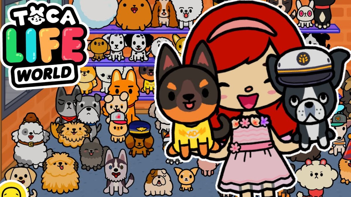 Новое обновление тока бока