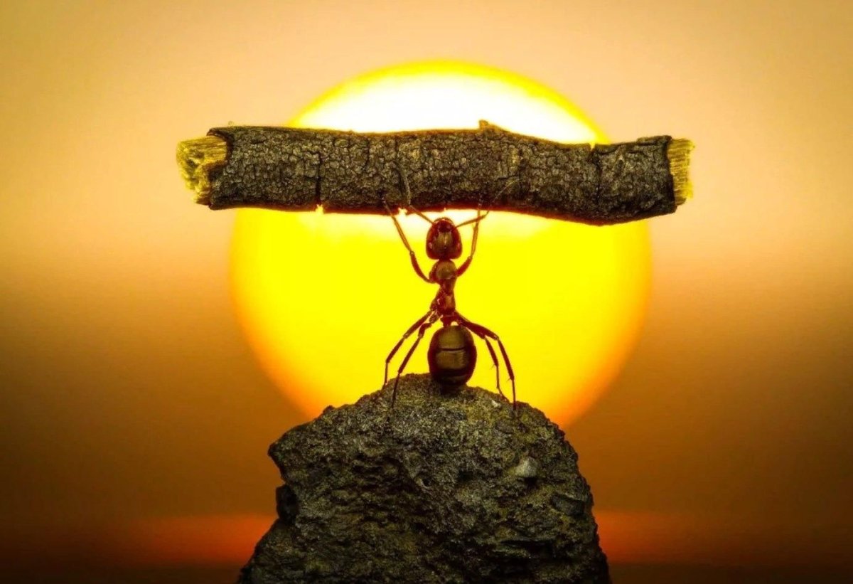 Преодоление трудностей жизни