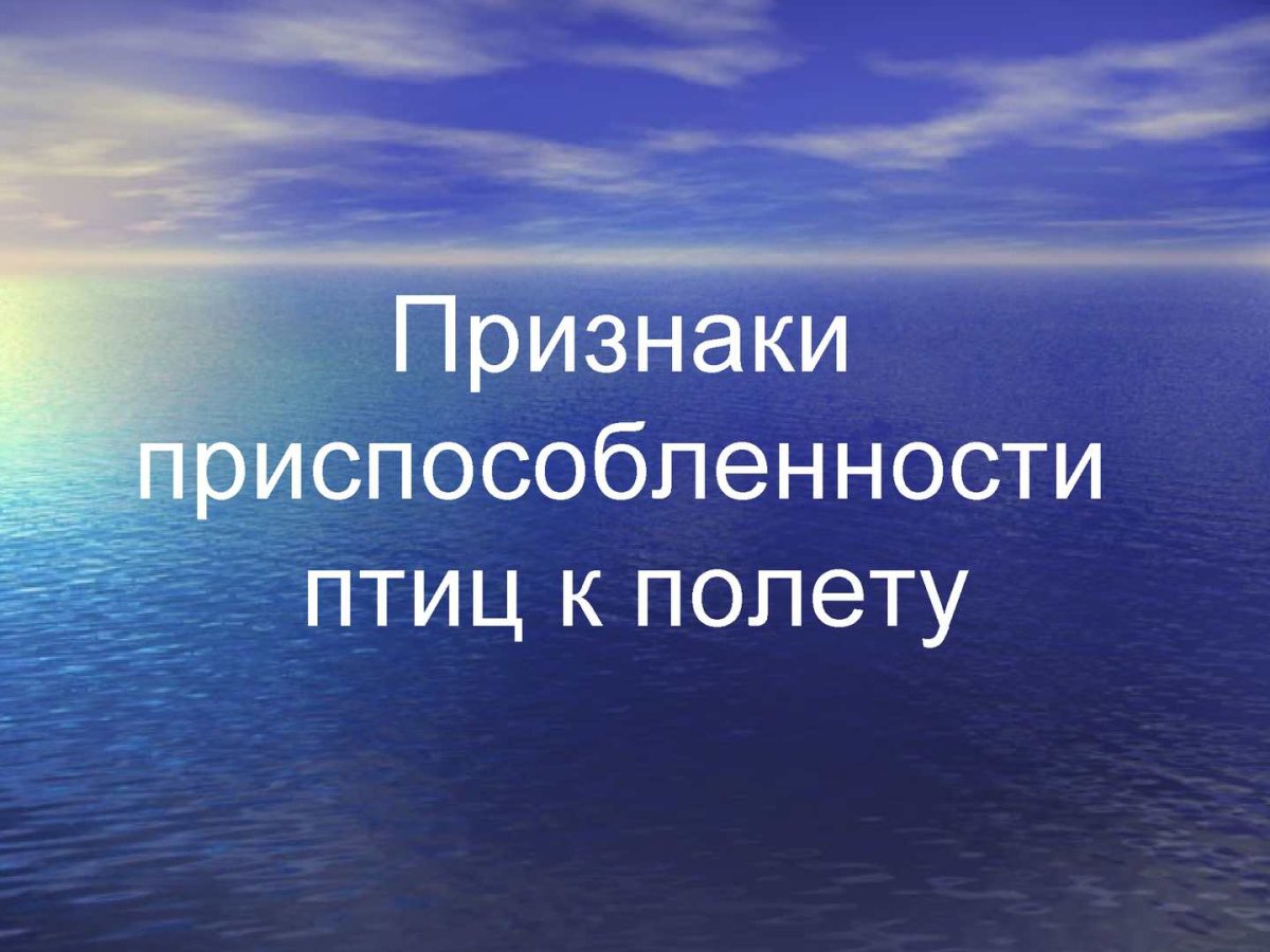 Пожелания терпения