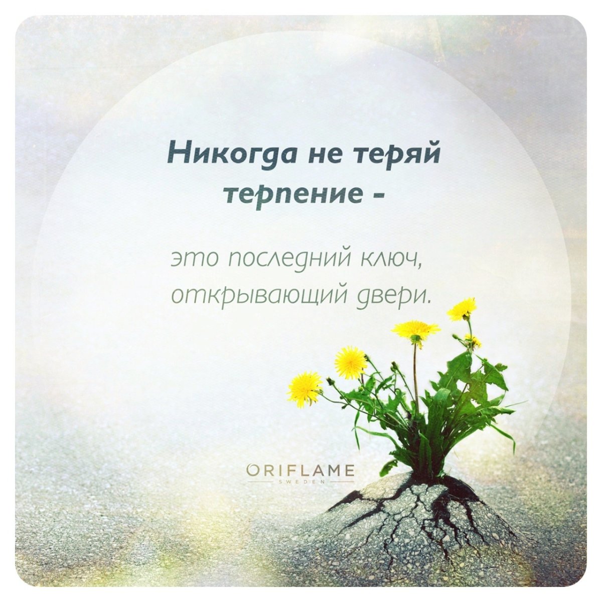 Открытка терпения