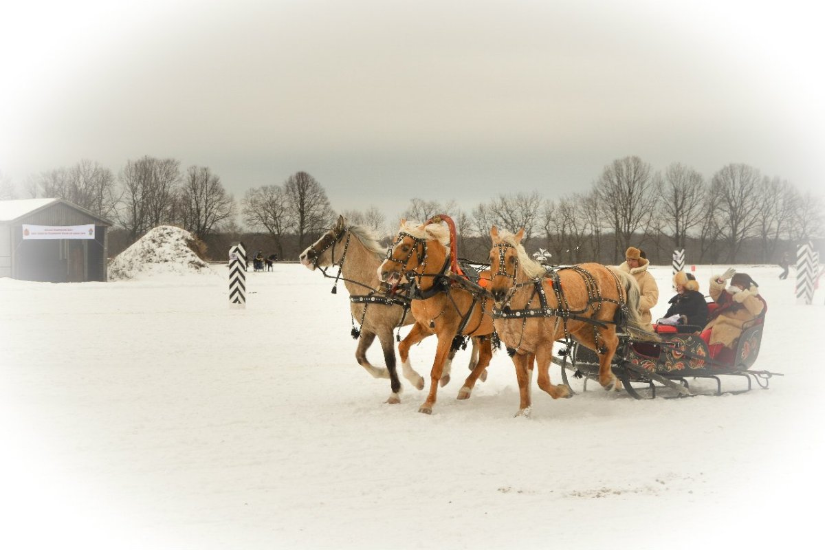 Гонки русской тройки