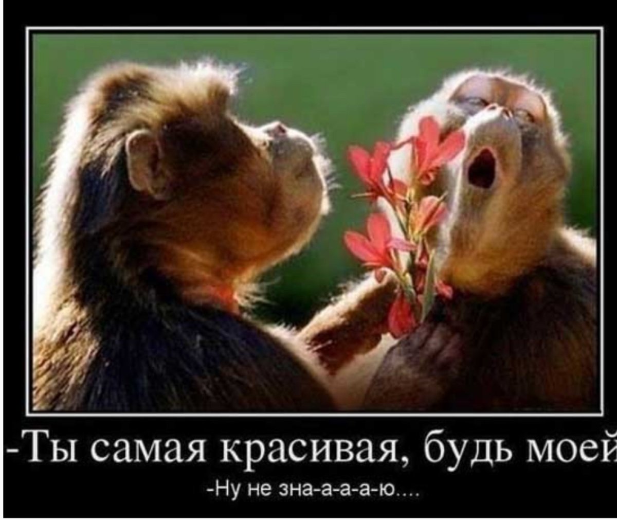 Юмор про любовь