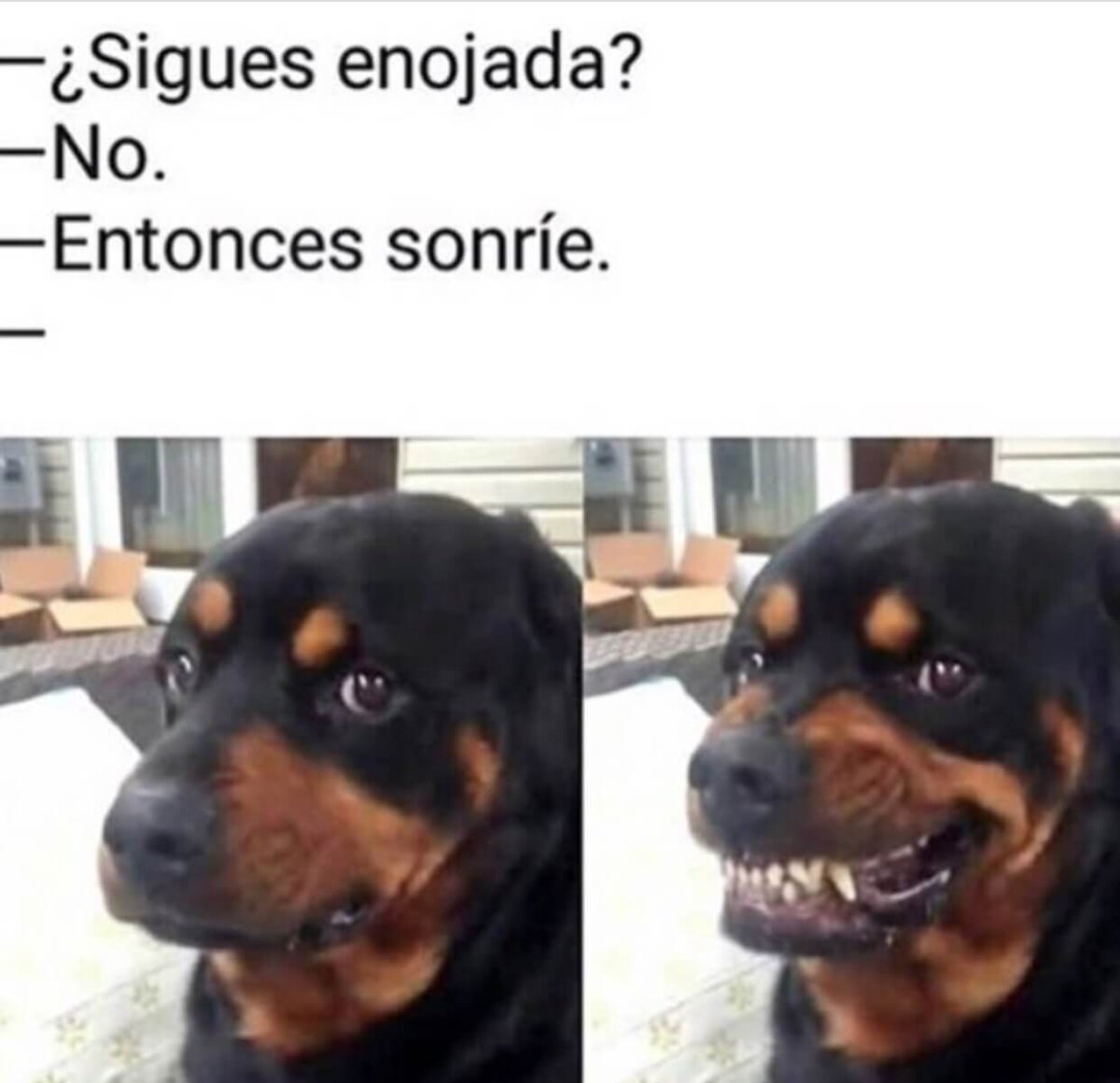 Всемирный день улыбки