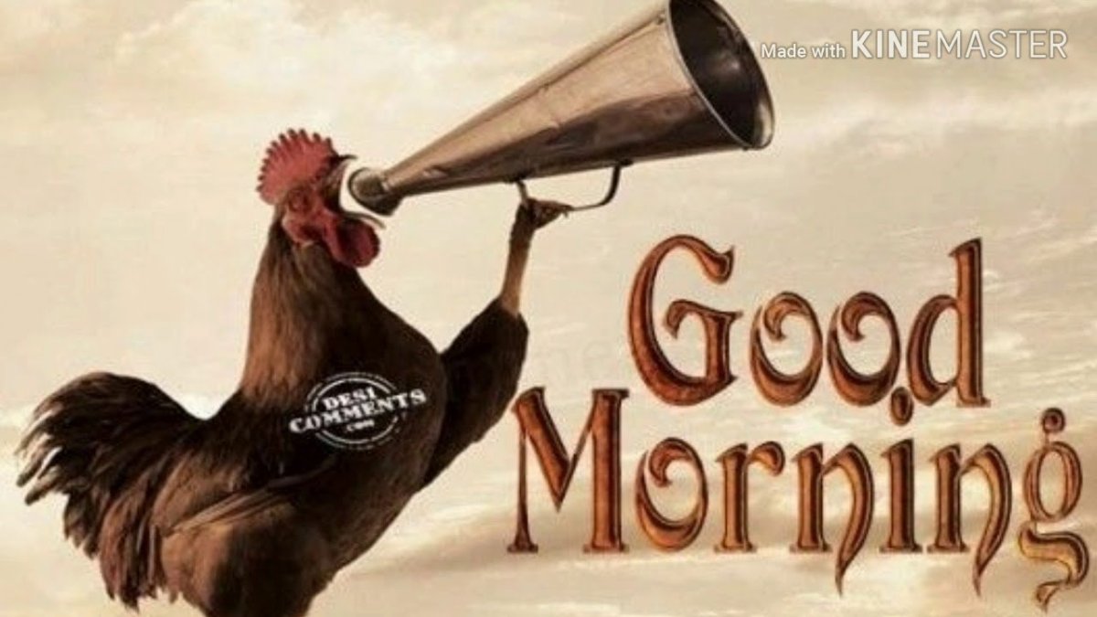 Доброе утро рокеры