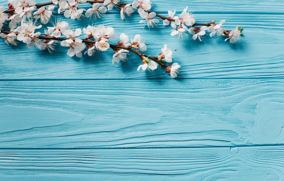 Голубой фон для сторис