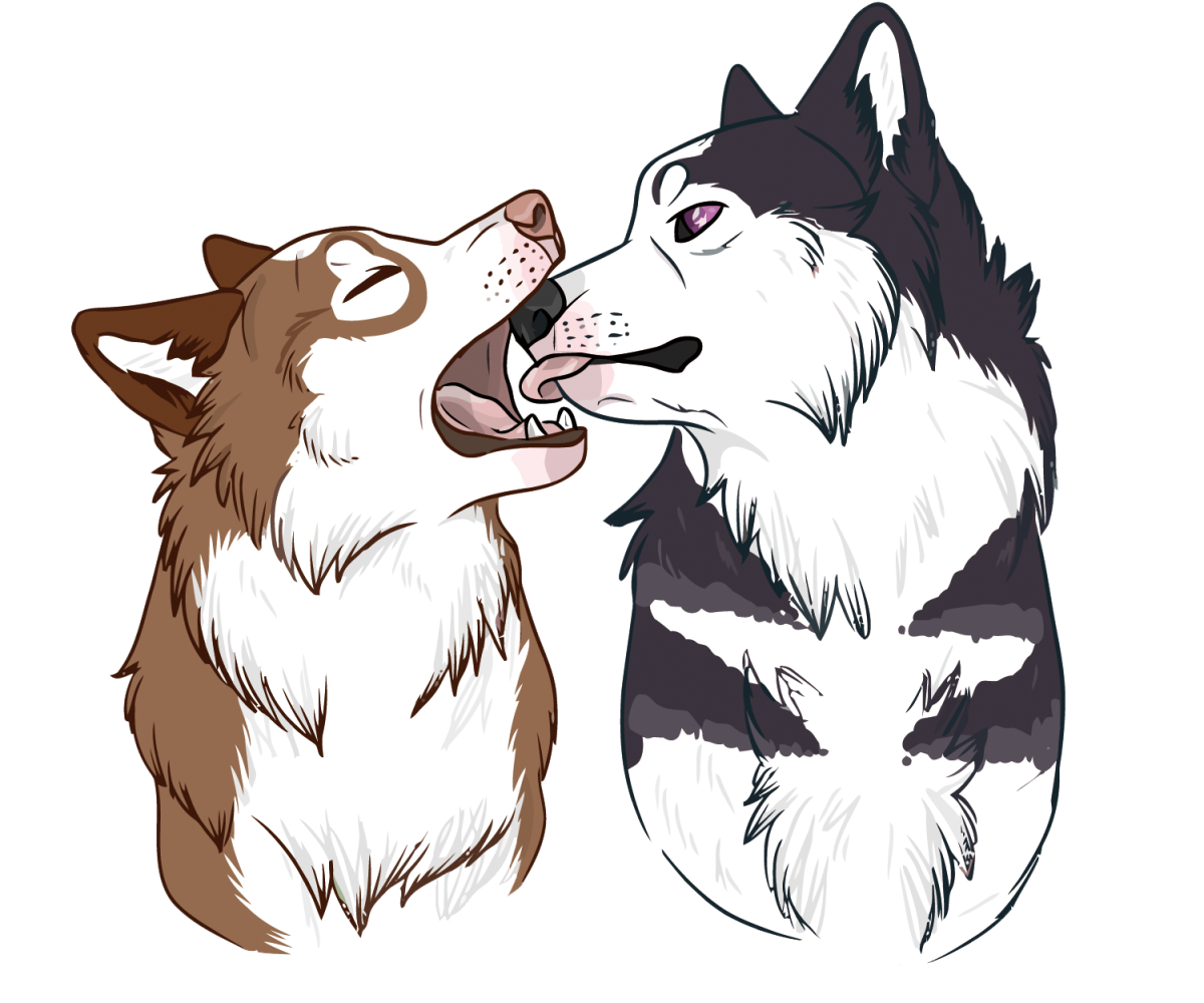 Волк на прозрачном фоне