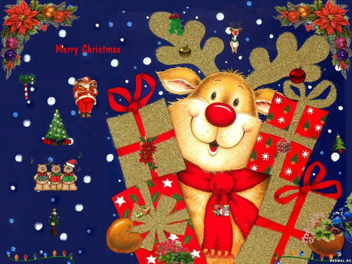 Иэн Пэшли (Jan Pashley)