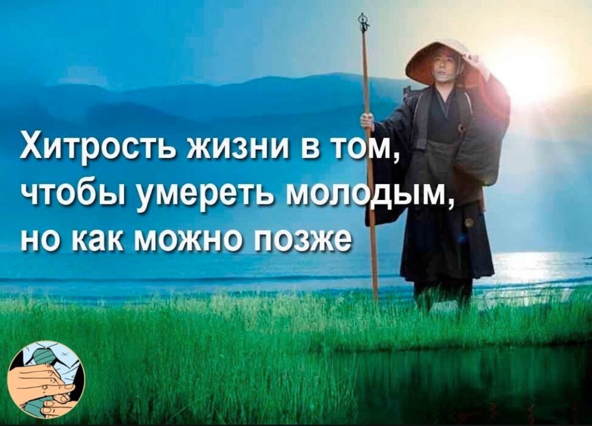 Умные высказывания