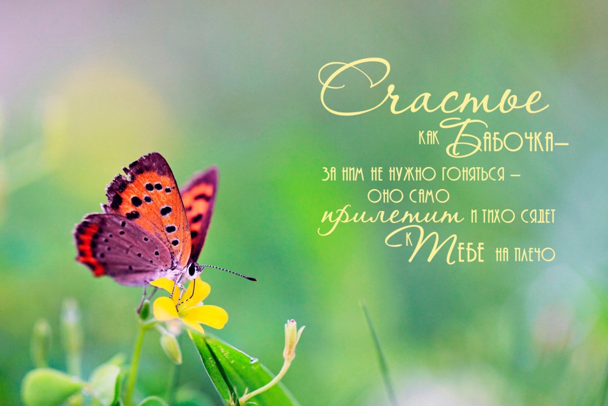 Счастье как бабочка