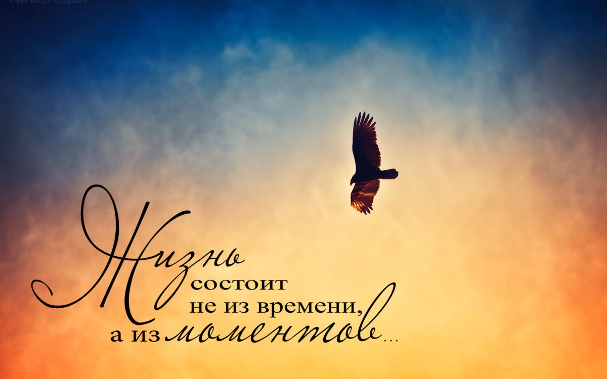 Красивые цитаты про счастье