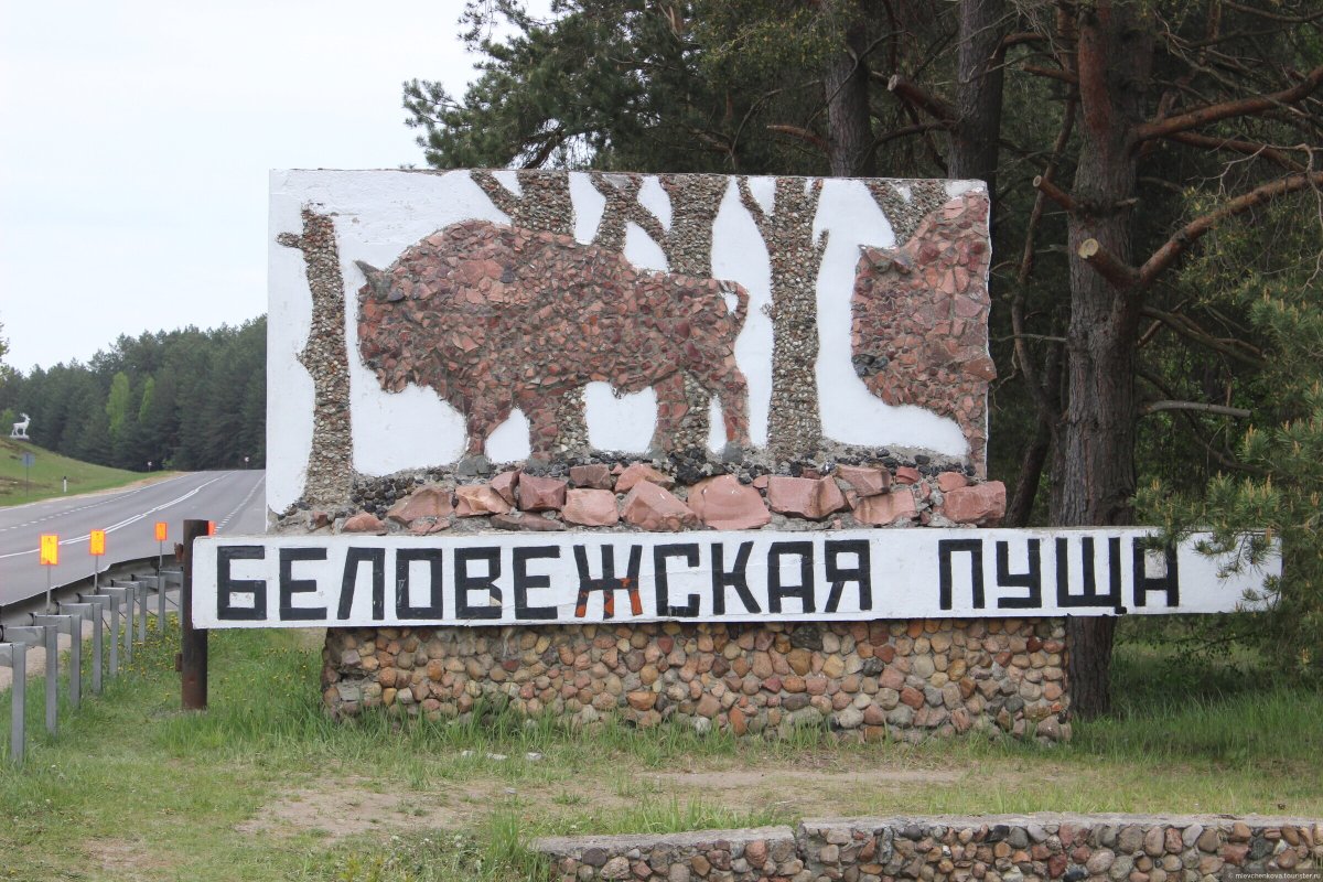 Беловежская пуща табличка