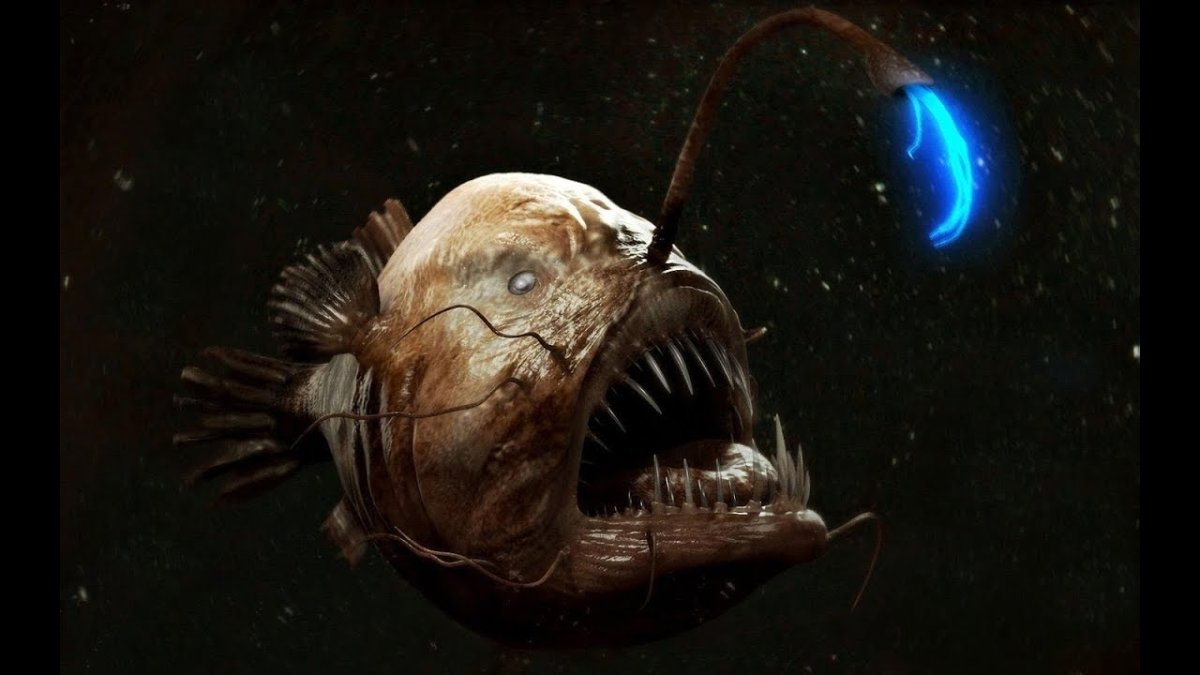 Удильщик в реальной жизни