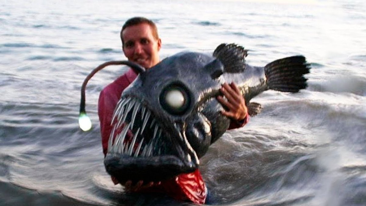 Морской черт в Баренцевом море