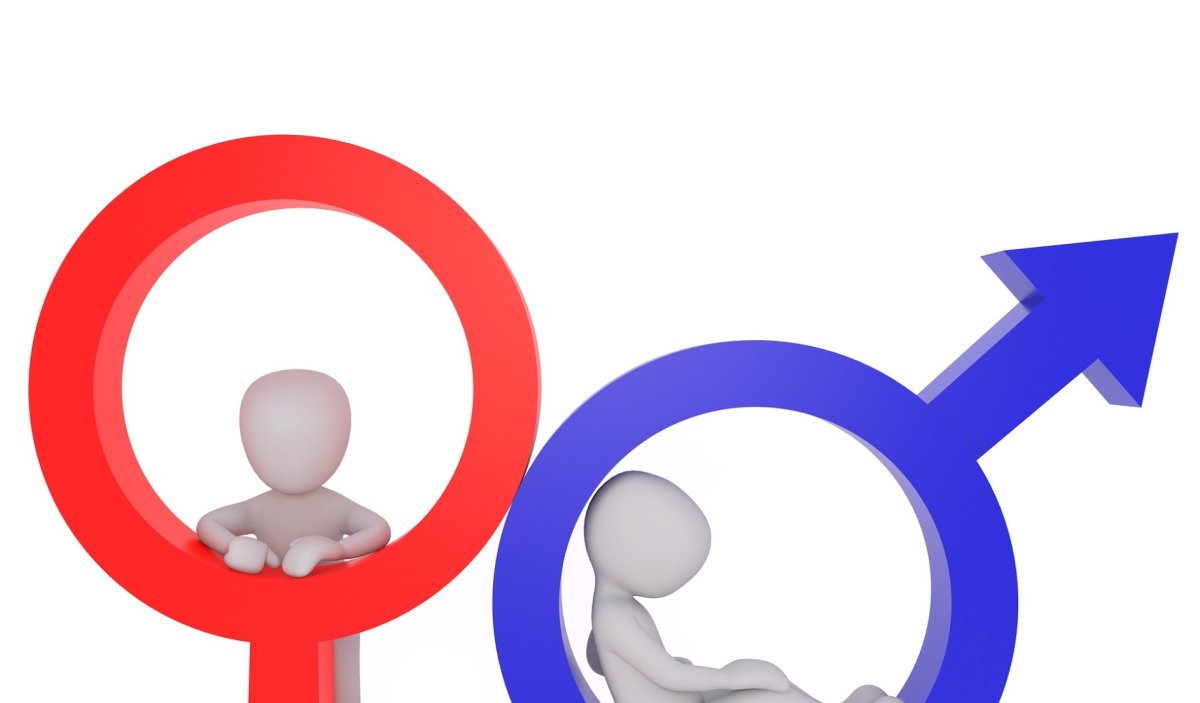 Гендер анимация