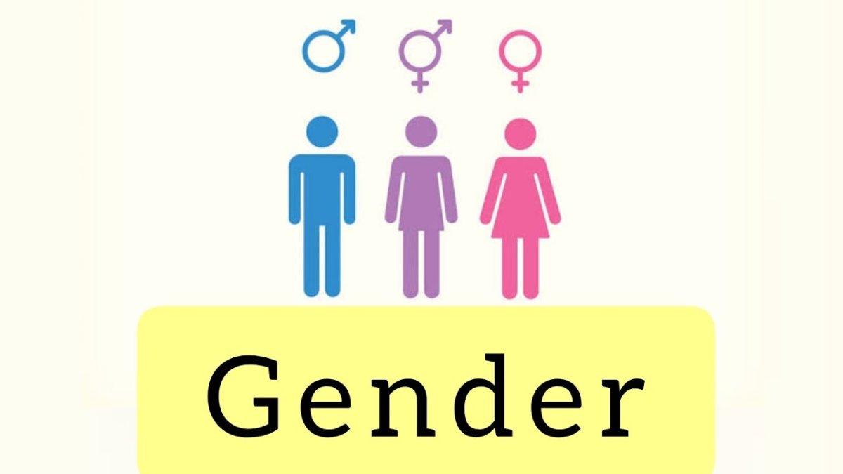Гендер схема