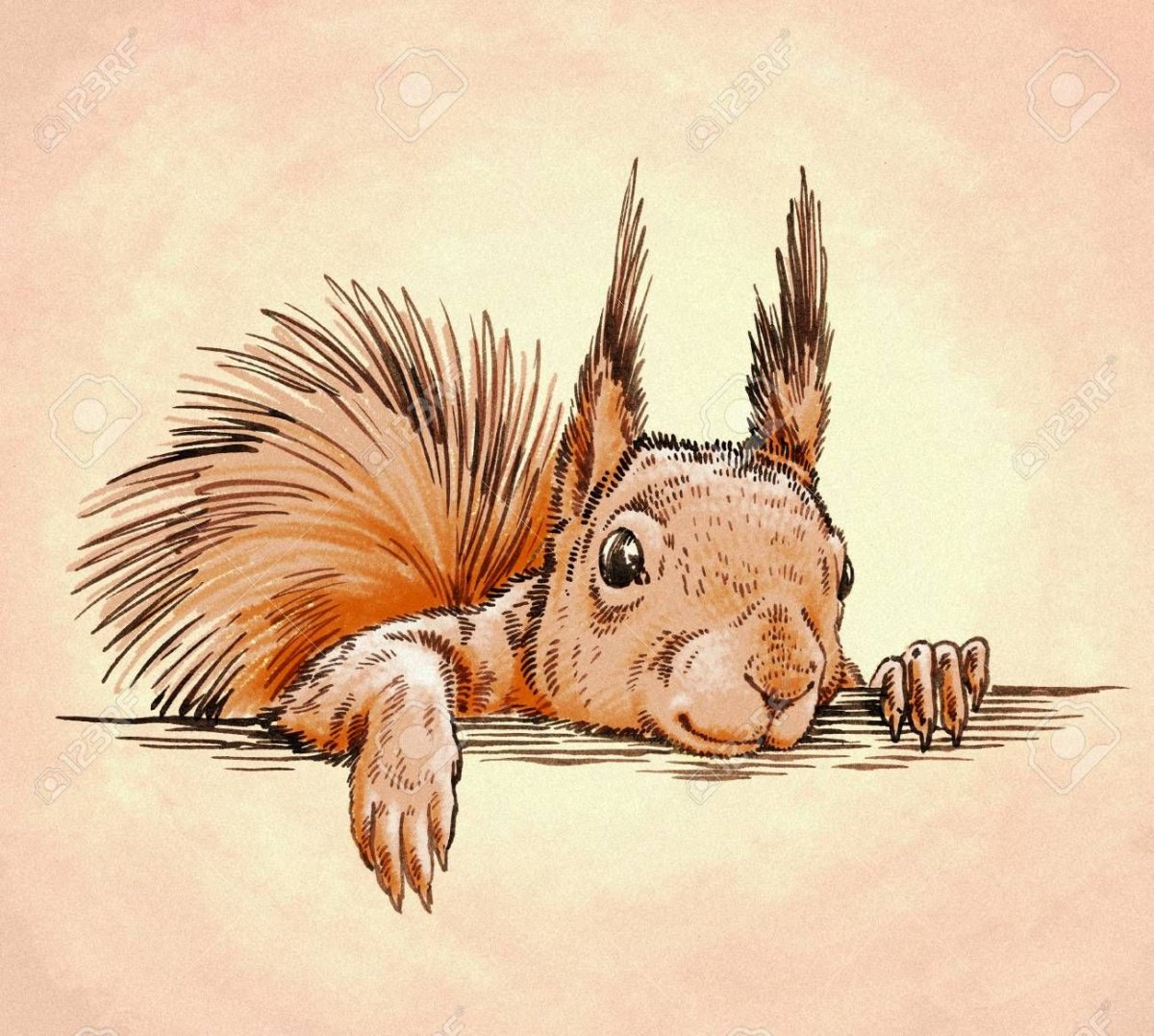 Радостная белка