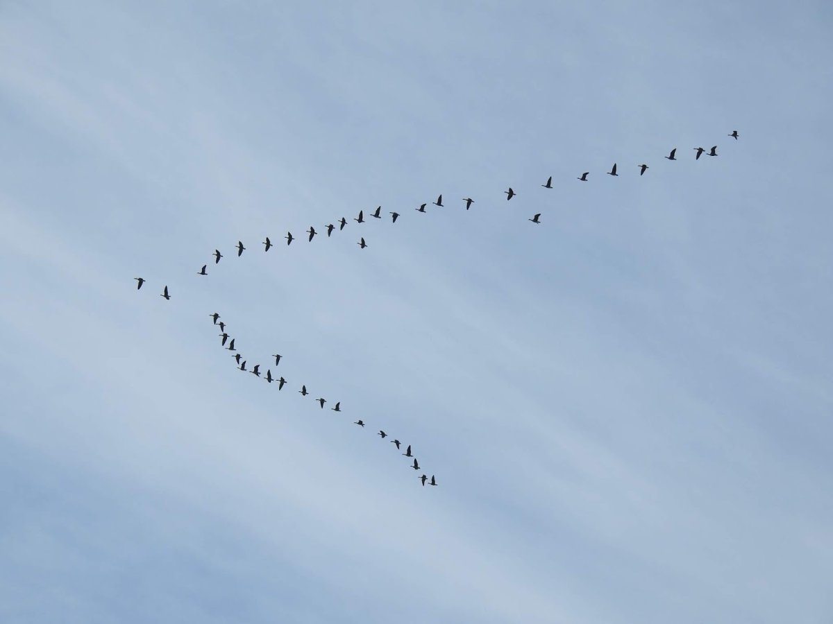 Клин Кремль