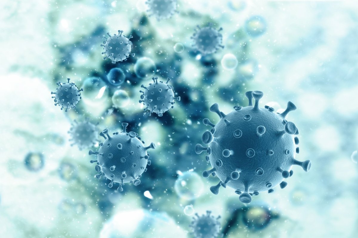 Бактерии бактерии coronavirus