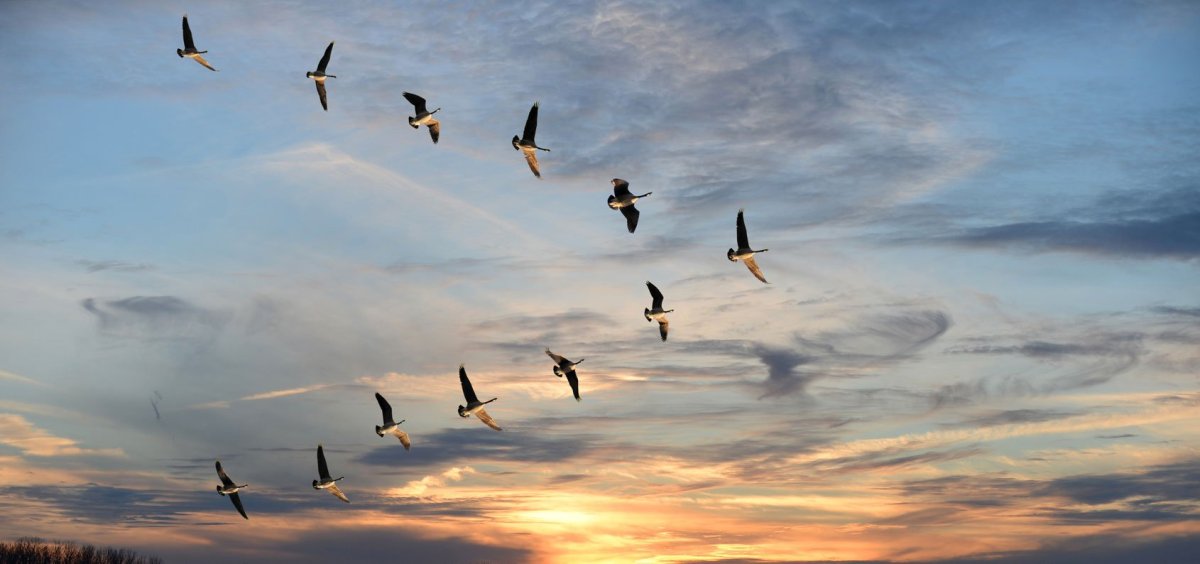 Город Клин Московской области