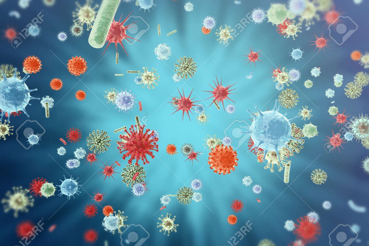 Вирус коронавирус