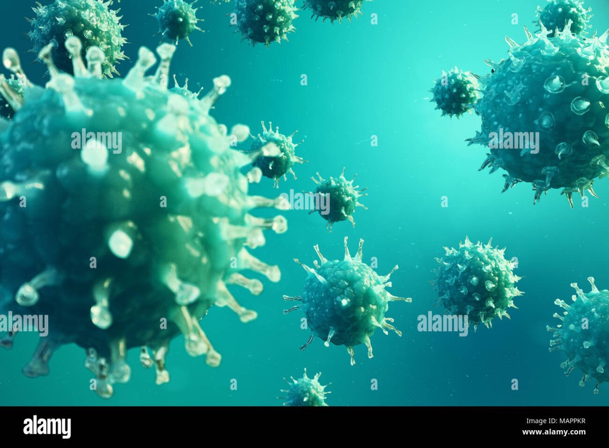 Вирусы на Светлом фоне