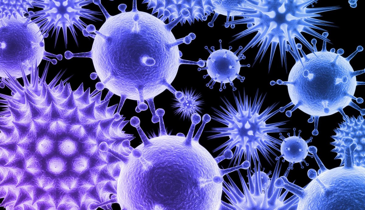 Микроорганизмы вирусы