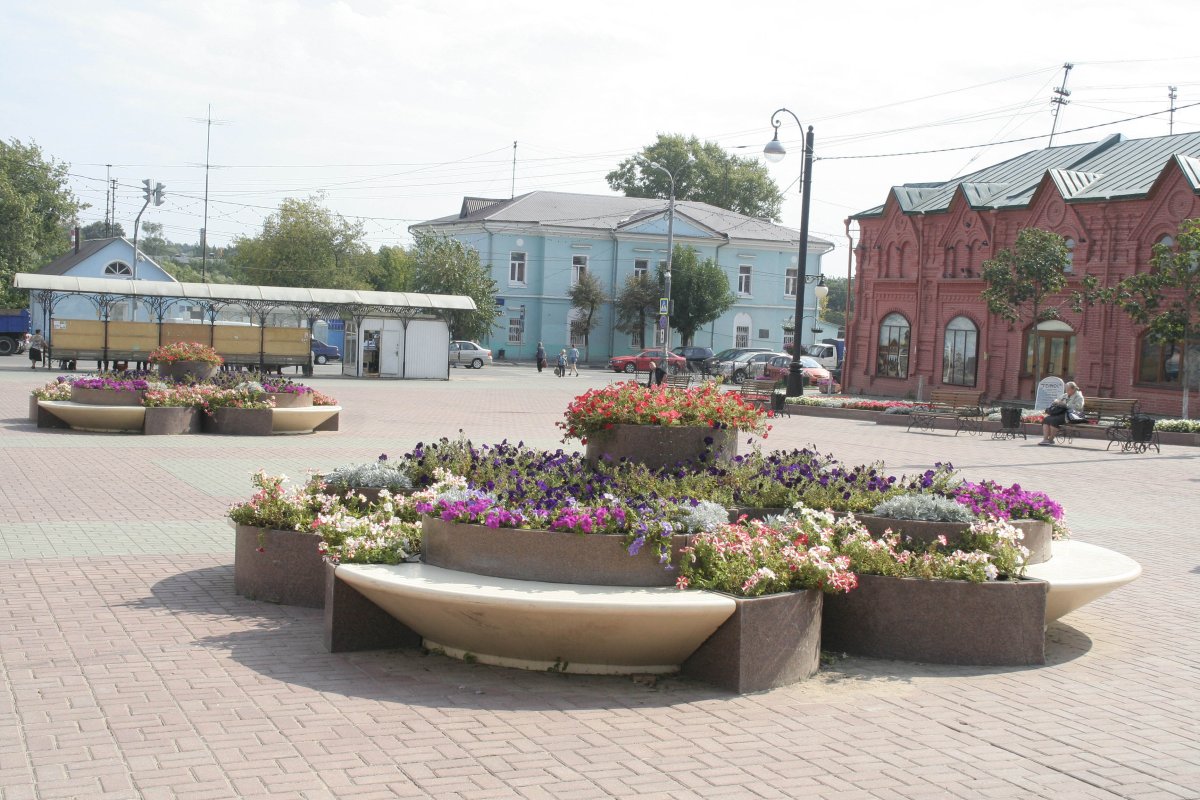 Косяк перелетных птиц