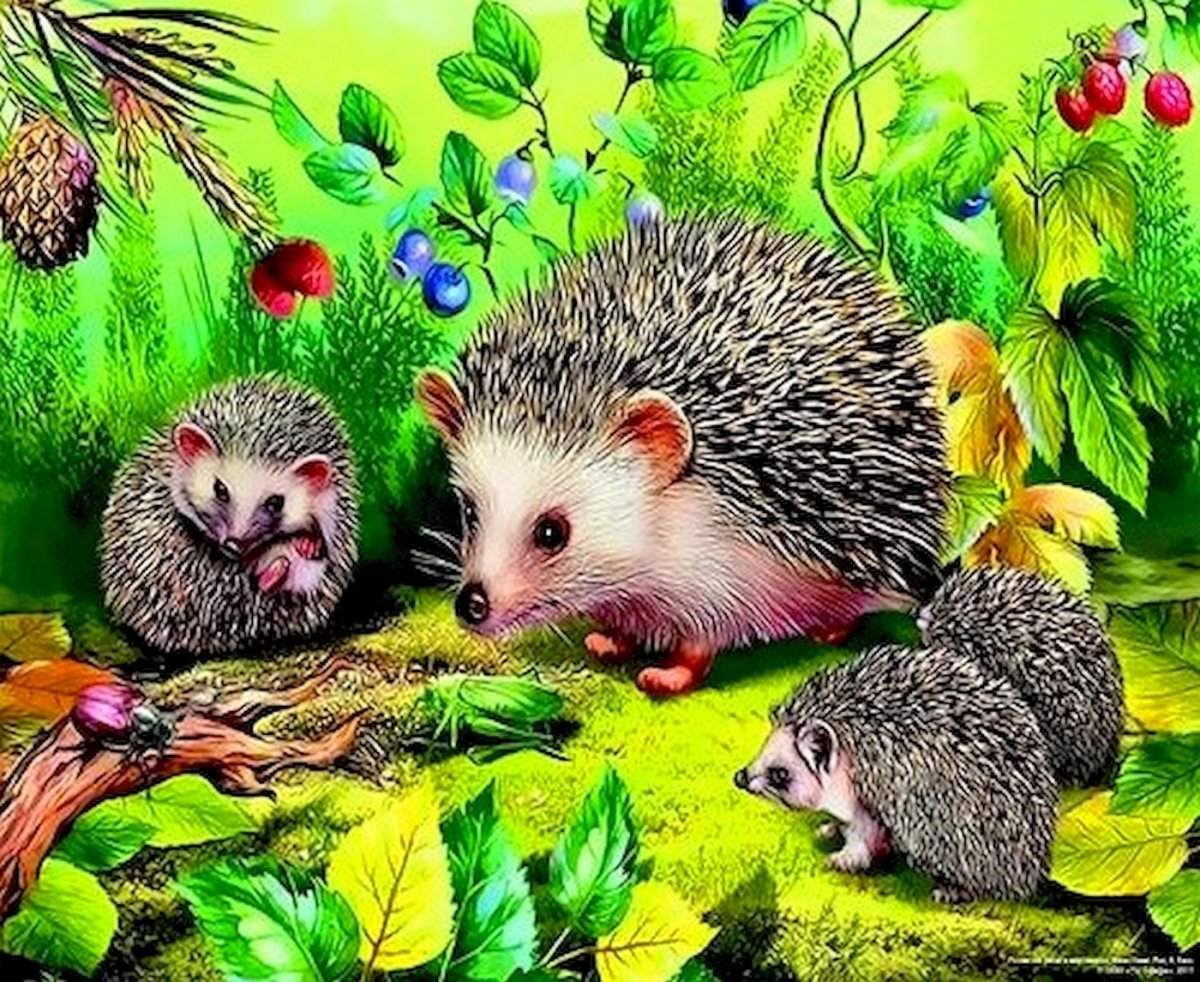 П Меньшикова картина Ежи