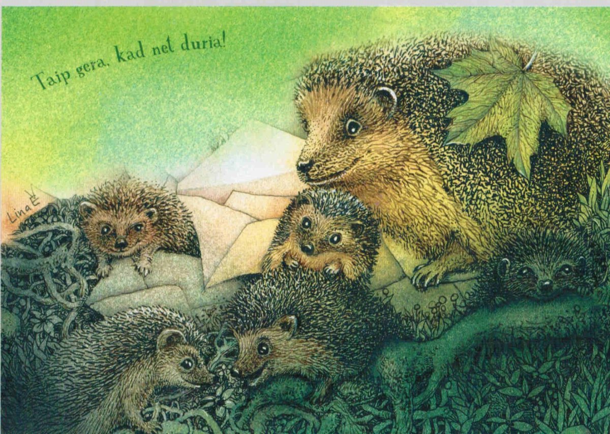 Семейство ежей