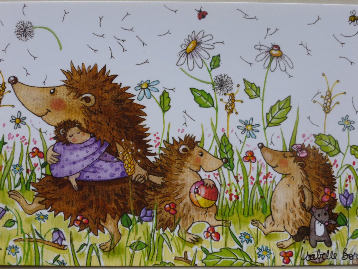 Ежик иллюстрация