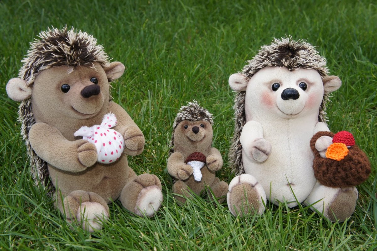 Обнимашки ежей