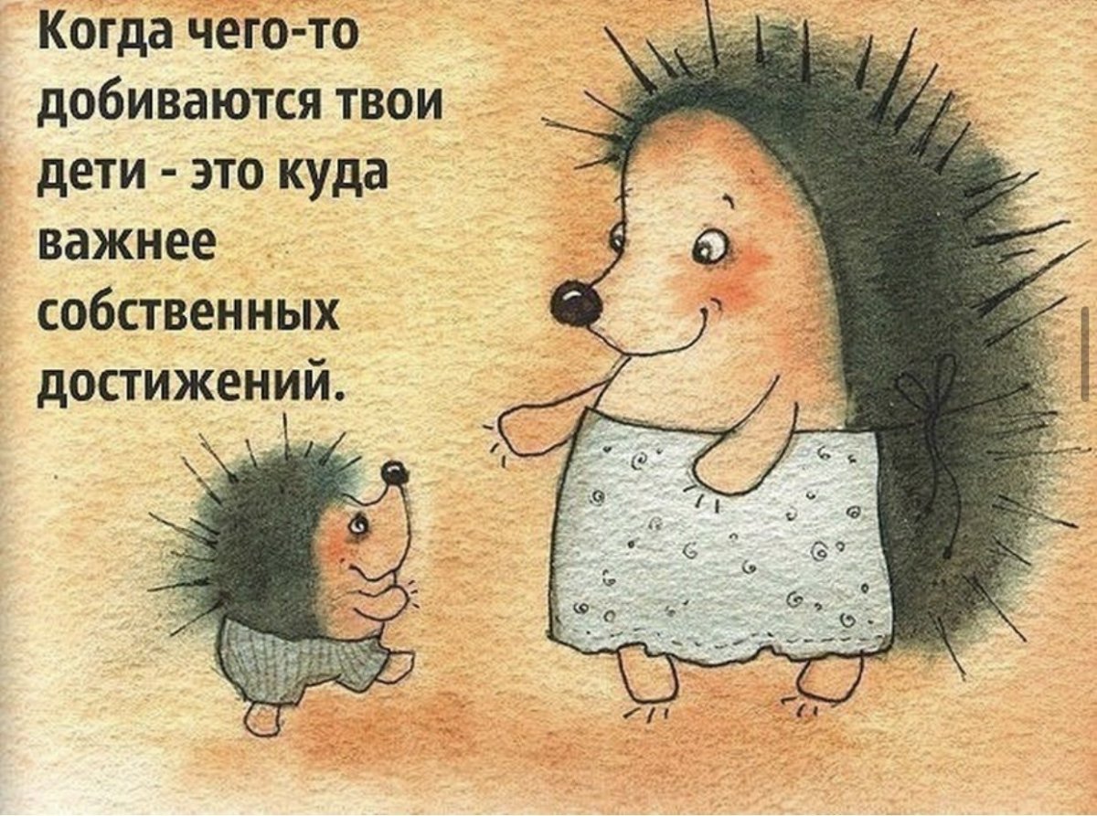 Иллюстрации с Ёжиком