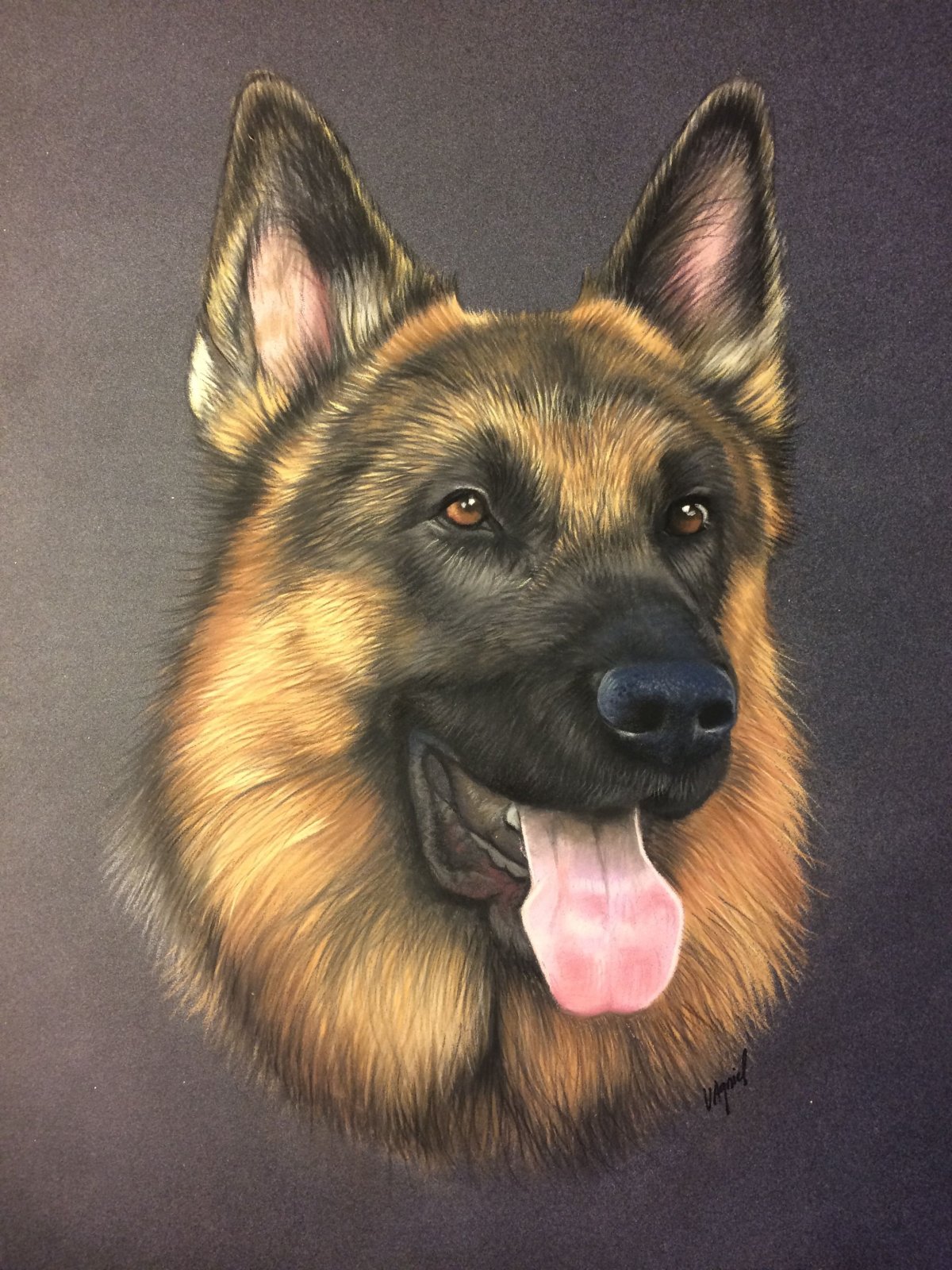 Восточно-европейская овчарка Мухтар