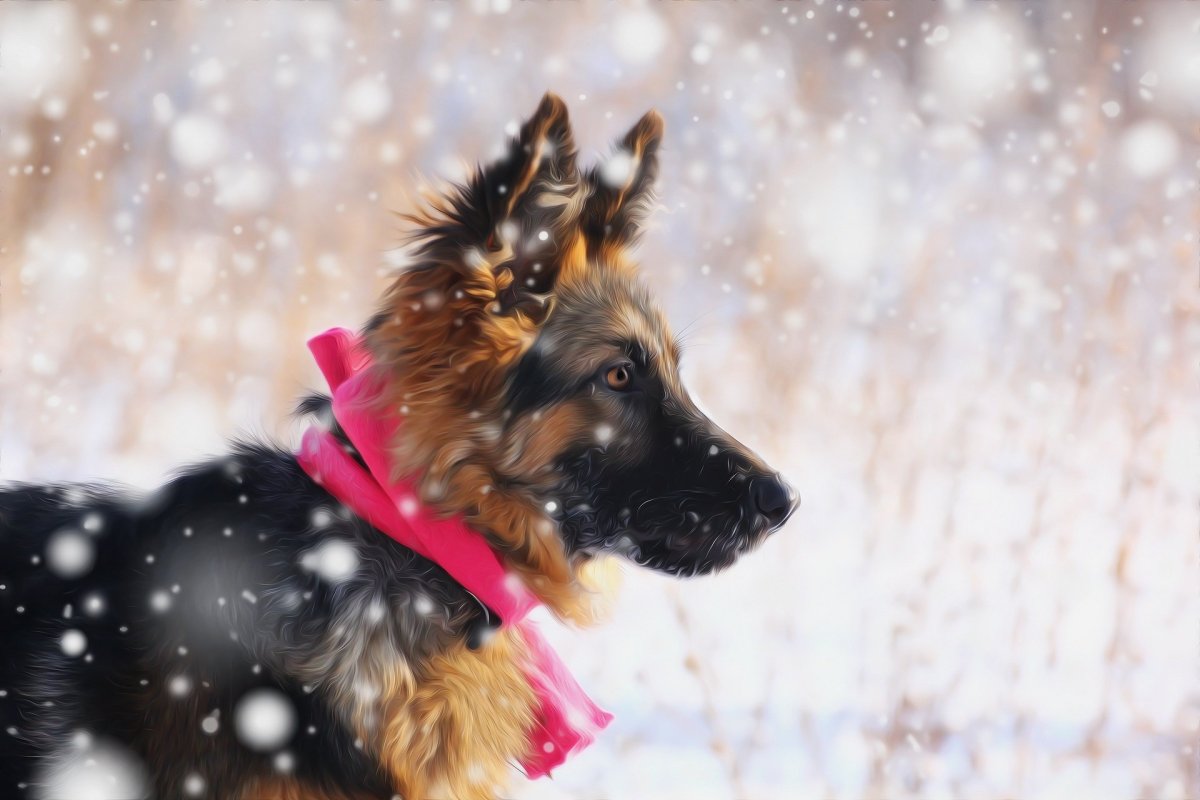 Новогодняя немецкая овчарка