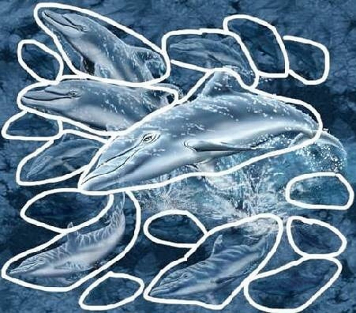 Стая дельфинов под водой