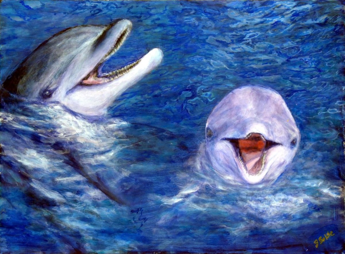 Ecco the Dolphin Vortex