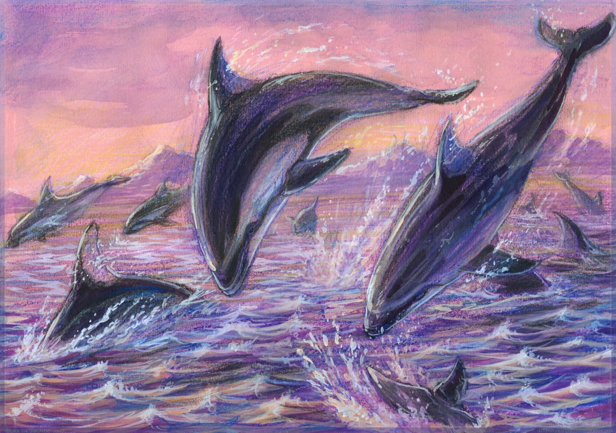 Семейство дельфинов