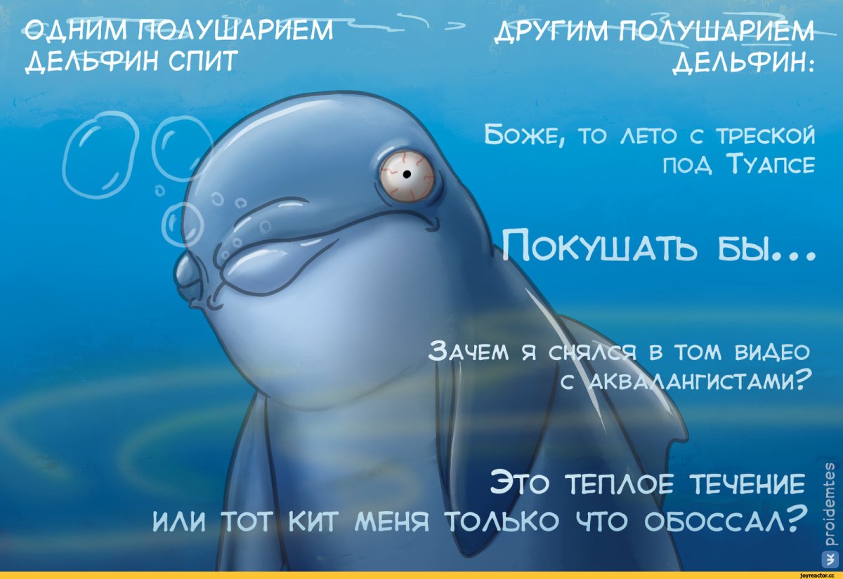 Дельфины рисунок