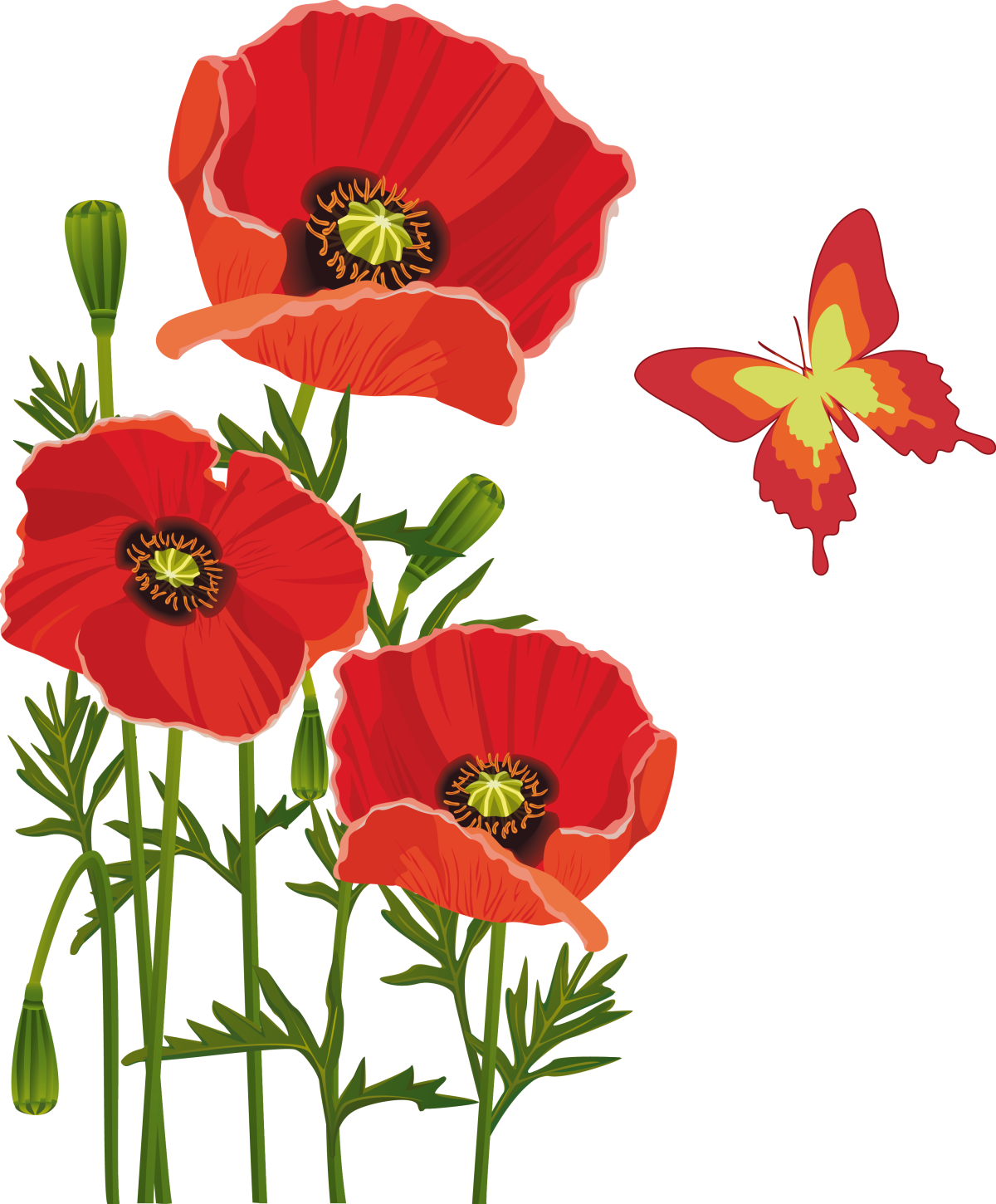 Рисование для детей маки