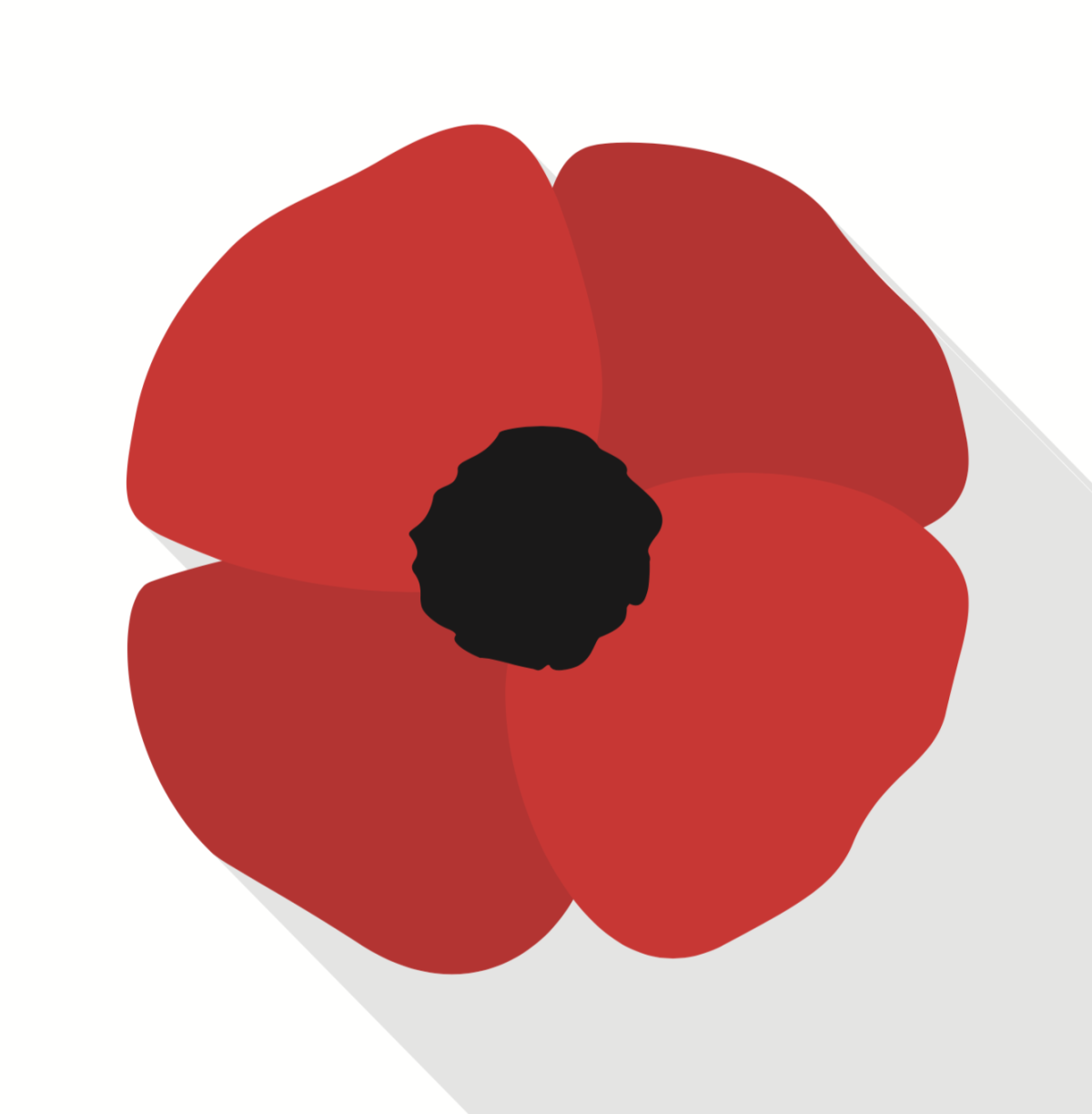 Мак папавер акварель