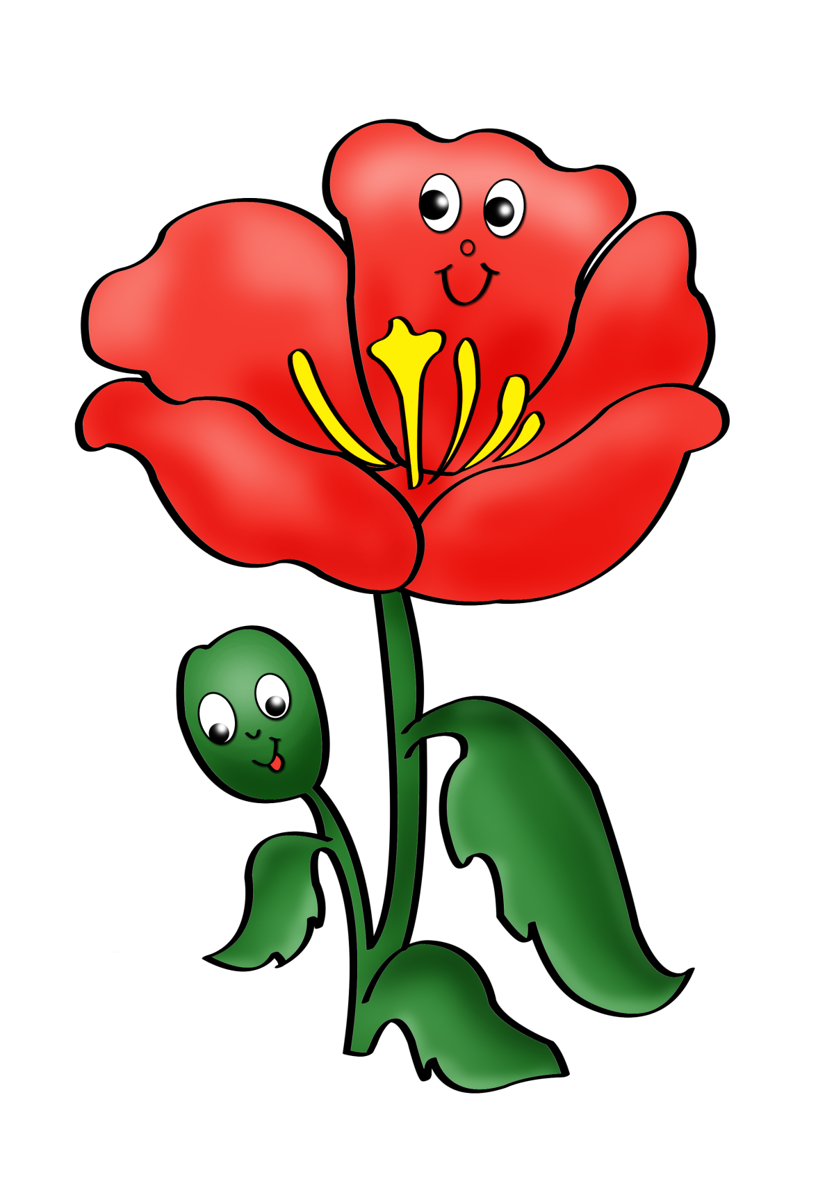 Букет из маков красных на прозрачном фоне