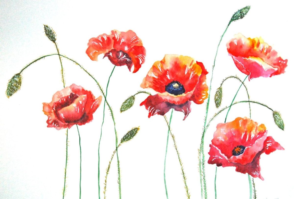 Мак мультяшный