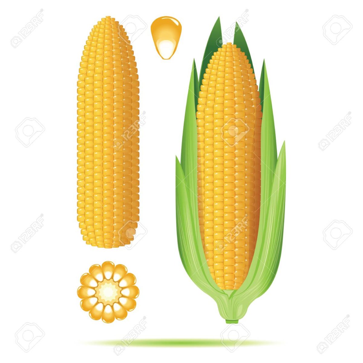 Початок кукурузы круг