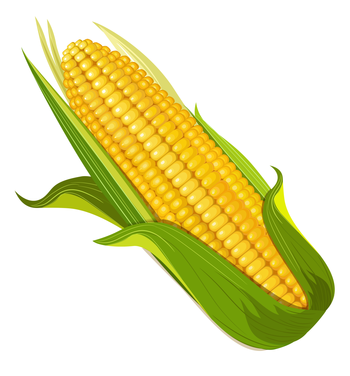 Кукуруза это овощ