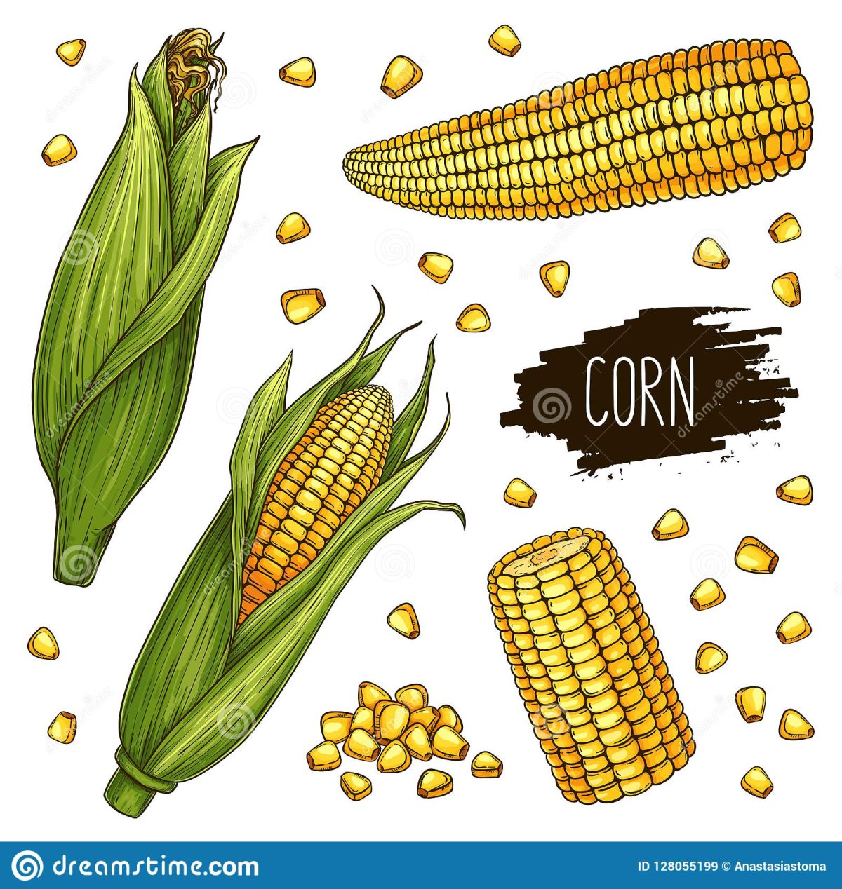 Початок кукурузы вектор