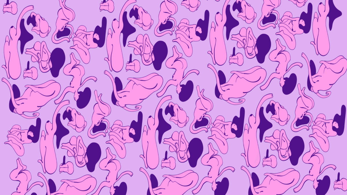 Луни Тюнз герои